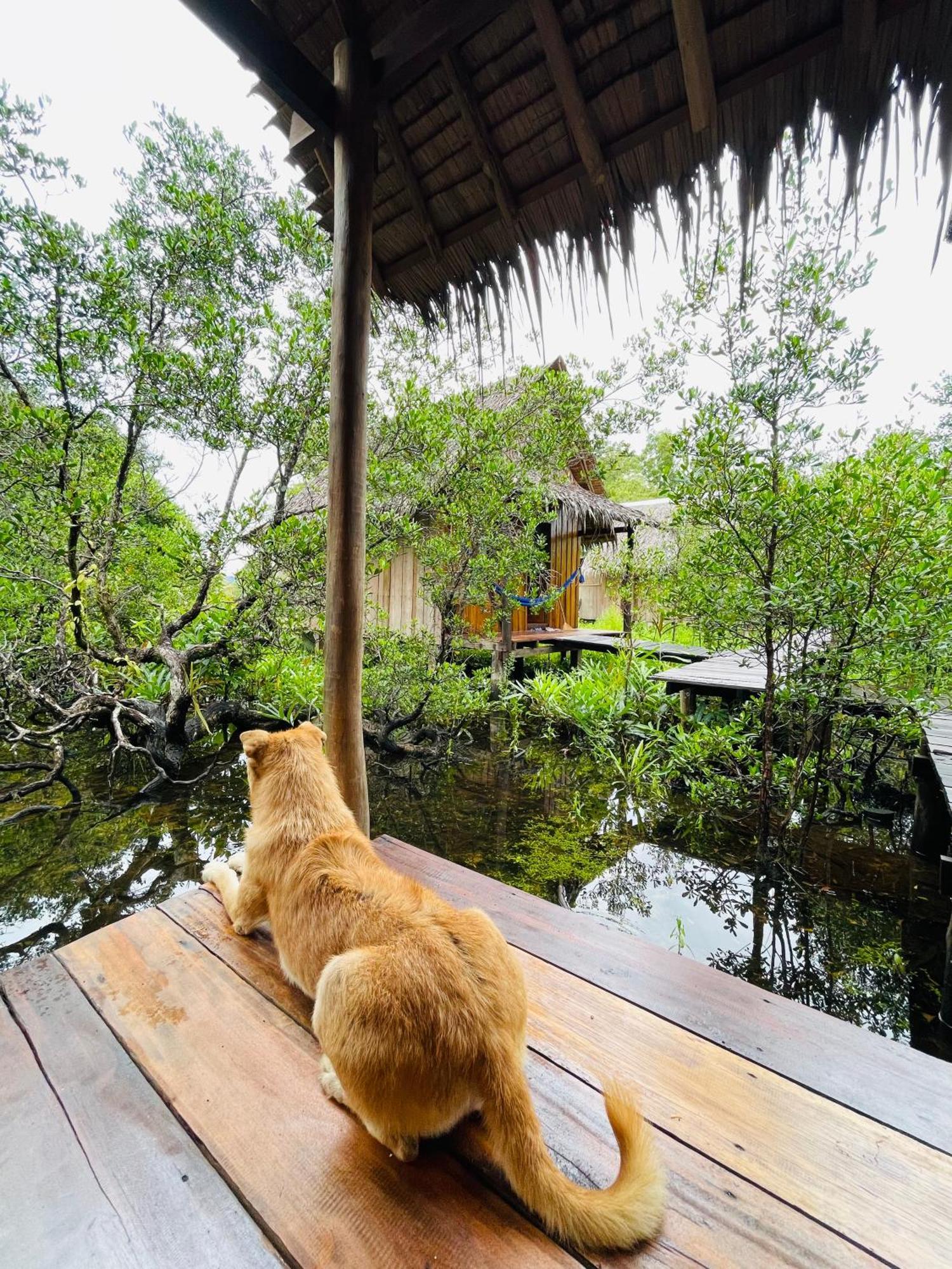 Lily'S Riverhouse Prek Svay Village Екстериор снимка
