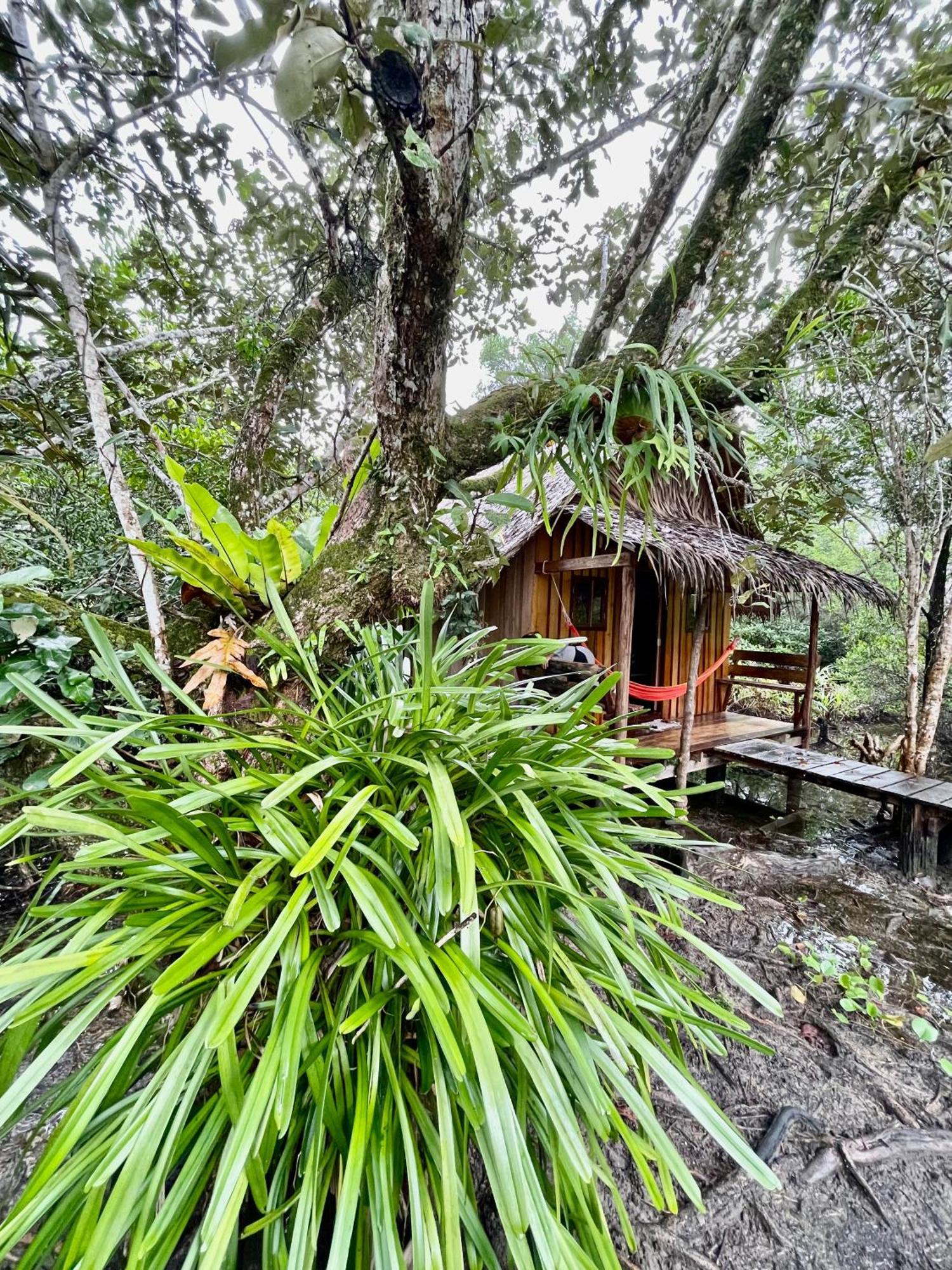 Lily'S Riverhouse Prek Svay Village Екстериор снимка